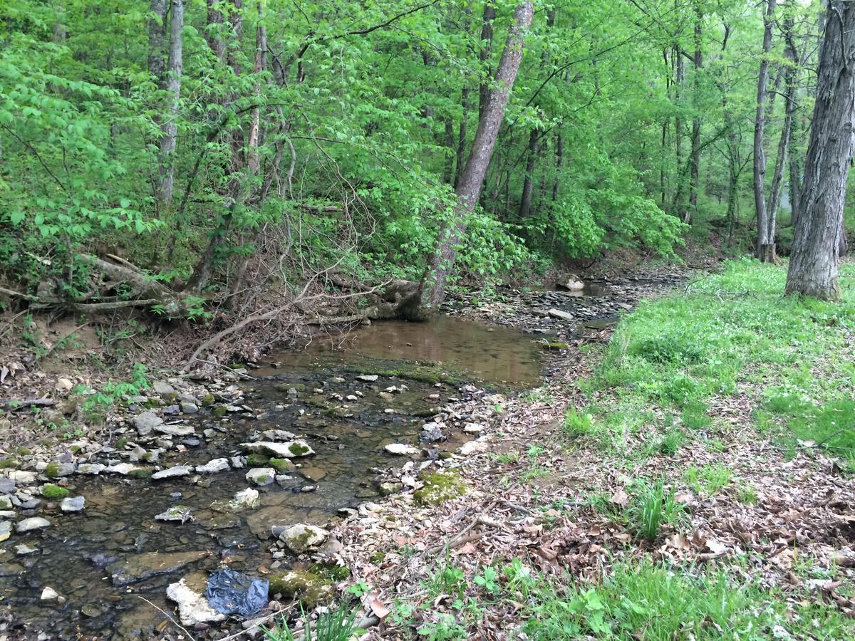 4 Bedroom Country Getaway Nashville Luaran gambar